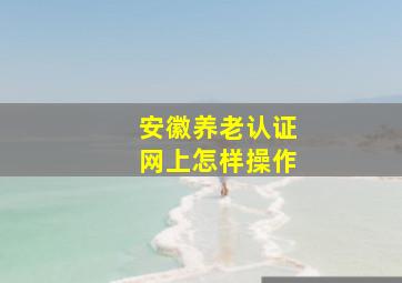 安徽养老认证网上怎样操作