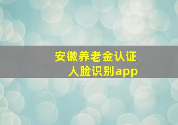 安徽养老金认证人脸识别app