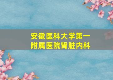 安徽医科大学第一附属医院肾脏内科