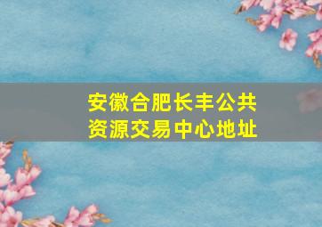 安徽合肥长丰公共资源交易中心地址