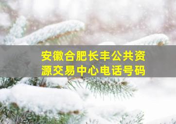 安徽合肥长丰公共资源交易中心电话号码