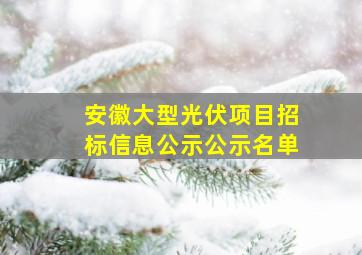 安徽大型光伏项目招标信息公示公示名单