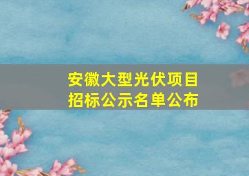 安徽大型光伏项目招标公示名单公布