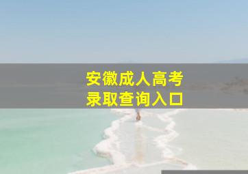 安徽成人高考录取查询入口