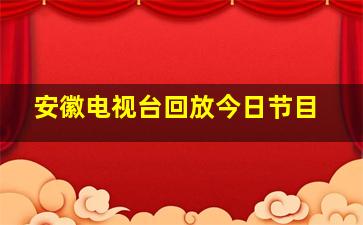 安徽电视台回放今日节目