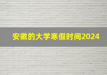 安徽的大学寒假时间2024