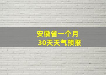 安徽省一个月30天天气预报