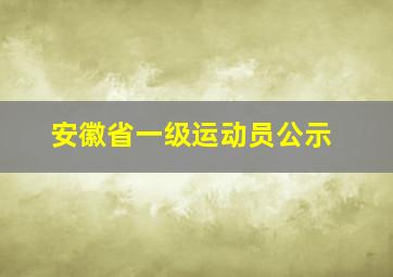 安徽省一级运动员公示