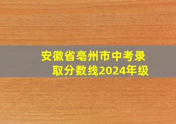 安徽省亳州市中考录取分数线2024年级