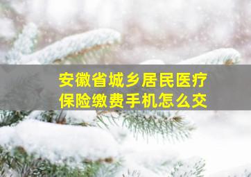 安徽省城乡居民医疗保险缴费手机怎么交