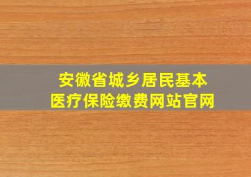 安徽省城乡居民基本医疗保险缴费网站官网