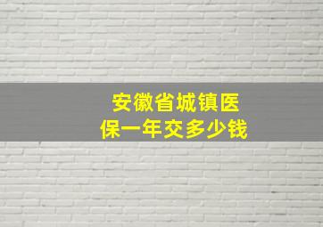 安徽省城镇医保一年交多少钱