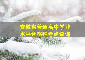 安徽省普通高中学业水平合格性考点查询