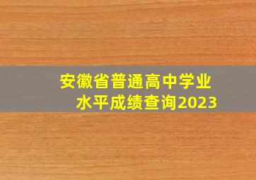 安徽省普通高中学业水平成绩查询2023