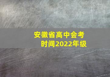 安徽省高中会考时间2022年级