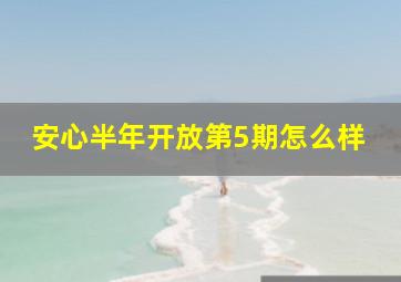 安心半年开放第5期怎么样