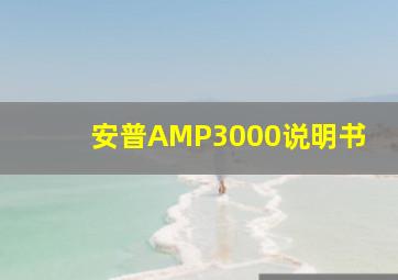 安普AMP3000说明书