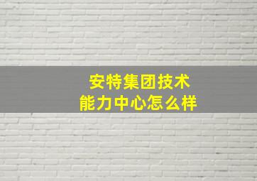 安特集团技术能力中心怎么样