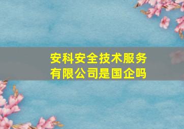 安科安全技术服务有限公司是国企吗