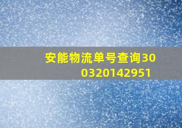 安能物流单号查询300320142951