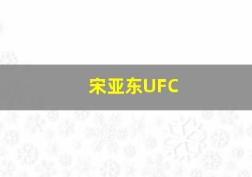 宋亚东UFC