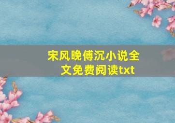 宋风晚傅沉小说全文免费阅读txt