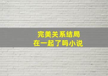 完美关系结局在一起了吗小说