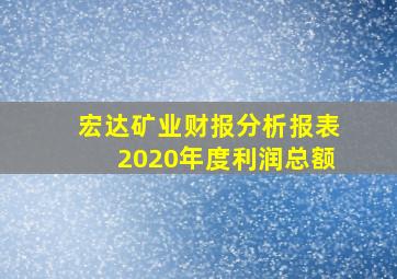 宏达矿业财报分析报表2020年度利润总额