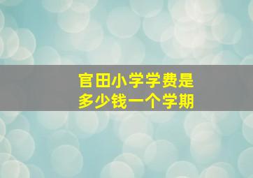 官田小学学费是多少钱一个学期