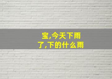 宝,今天下雨了,下的什么雨