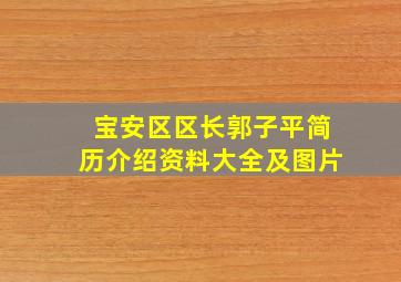 宝安区区长郭子平简历介绍资料大全及图片