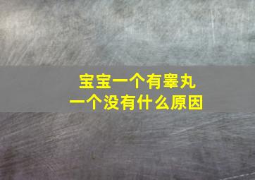 宝宝一个有睾丸一个没有什么原因