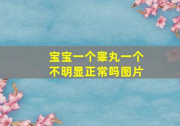 宝宝一个睾丸一个不明显正常吗图片