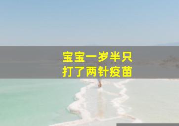 宝宝一岁半只打了两针疫苗