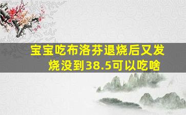 宝宝吃布洛芬退烧后又发烧没到38.5可以吃啥