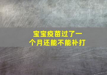 宝宝疫苗过了一个月还能不能补打