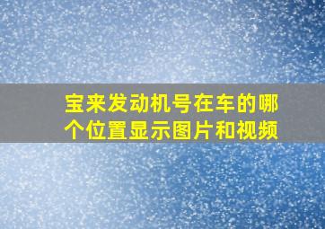 宝来发动机号在车的哪个位置显示图片和视频