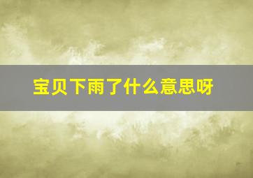 宝贝下雨了什么意思呀