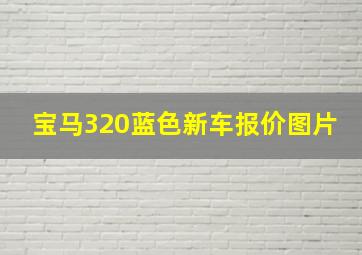 宝马320蓝色新车报价图片