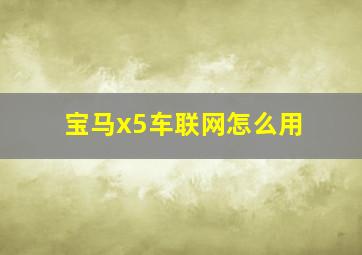 宝马x5车联网怎么用