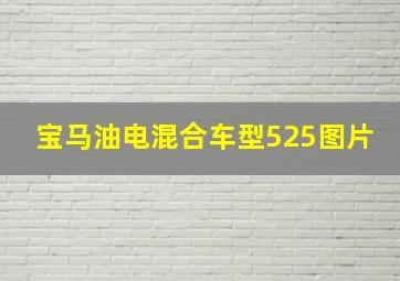 宝马油电混合车型525图片