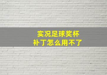 实况足球奖杯补丁怎么用不了