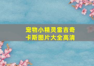 宠物小精灵雷吉奇卡斯图片大全高清