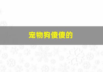 宠物狗傻傻的