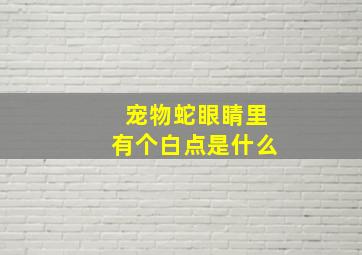 宠物蛇眼睛里有个白点是什么