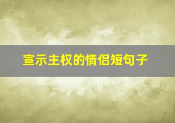 宣示主权的情侣短句子