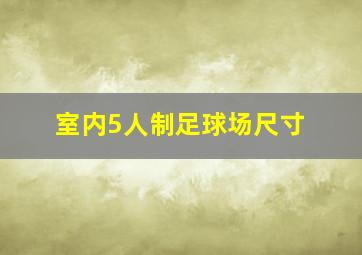 室内5人制足球场尺寸