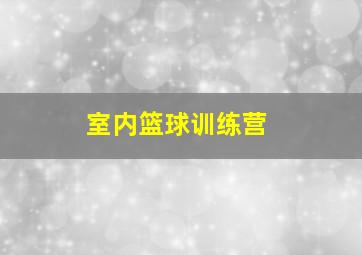 室内篮球训练营