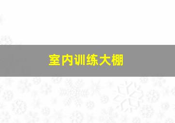 室内训练大棚