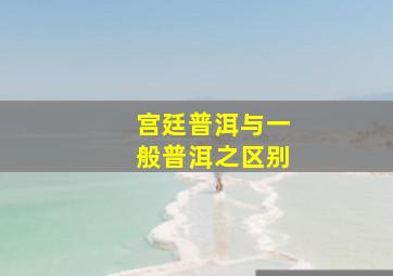 宫廷普洱与一般普洱之区别